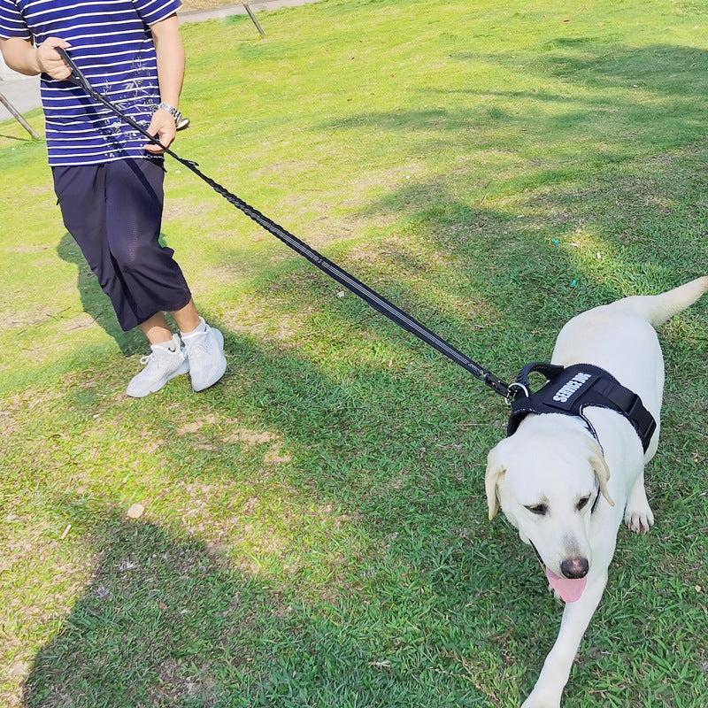 2-in-1 Bungee Dog Leash & Car Seat Belt with Shock Absorption
