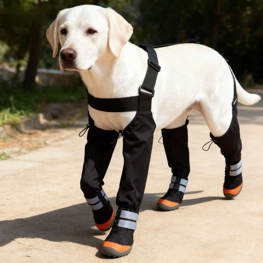 Adjustable Suspender Dog Boots