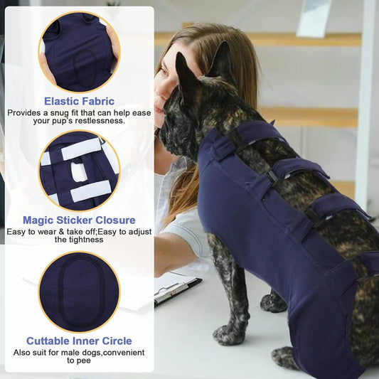 Dog wearing a purple Recovery Suit with product features on the left