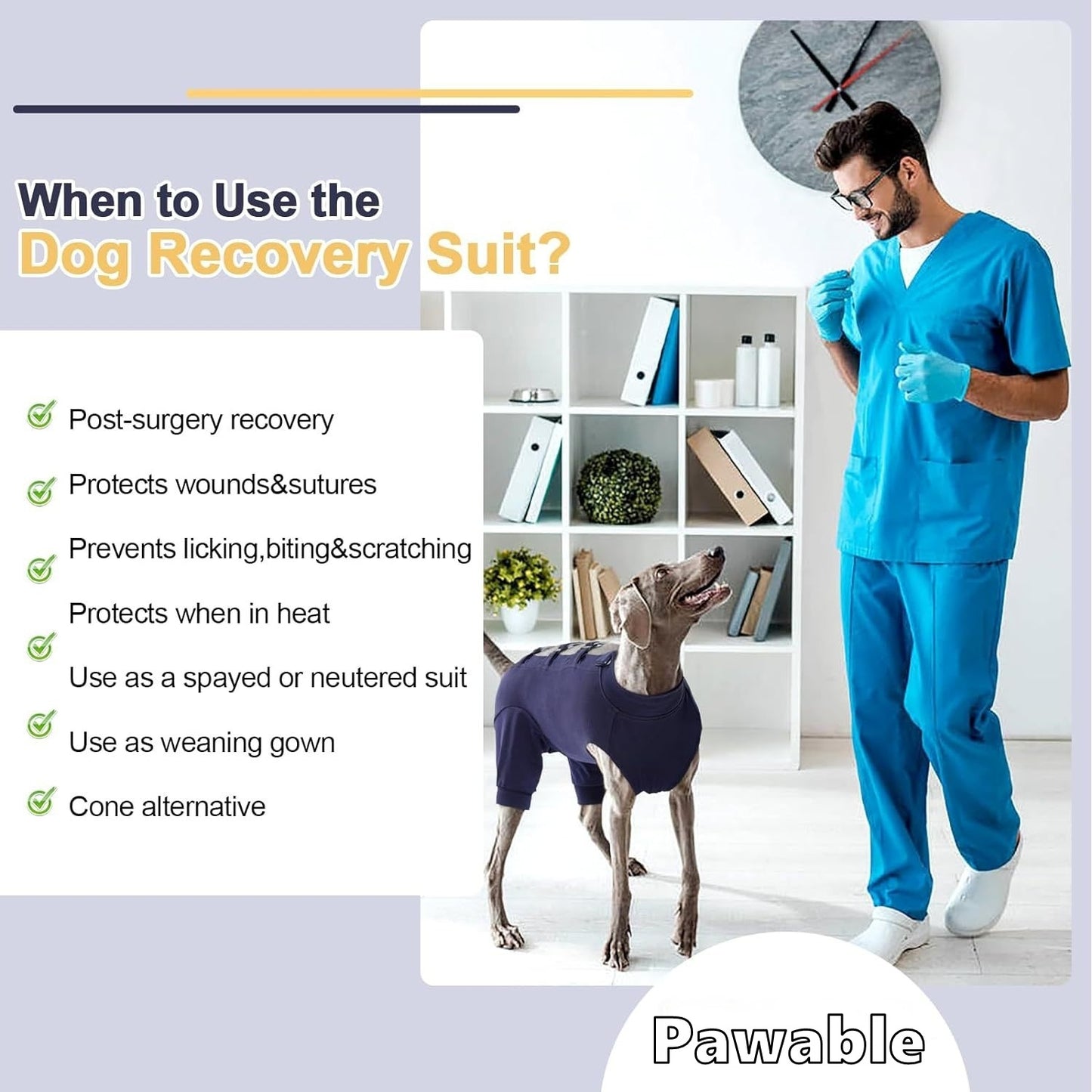 Dog wearing a recovery suit with a person in blue scrubs, text on using the dog recovery suit, and 'Pawable' branding.