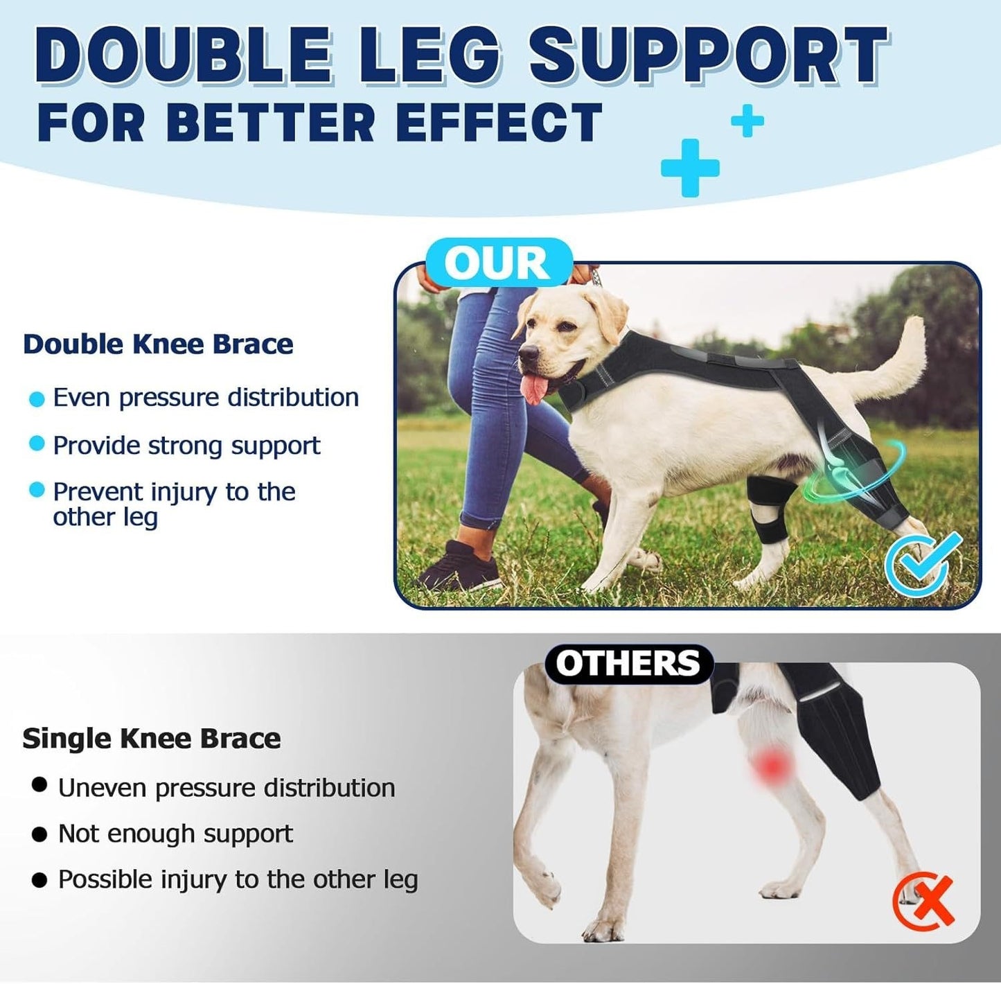Dog wearing a double leg support brace with text explaining benefits and alternatives.