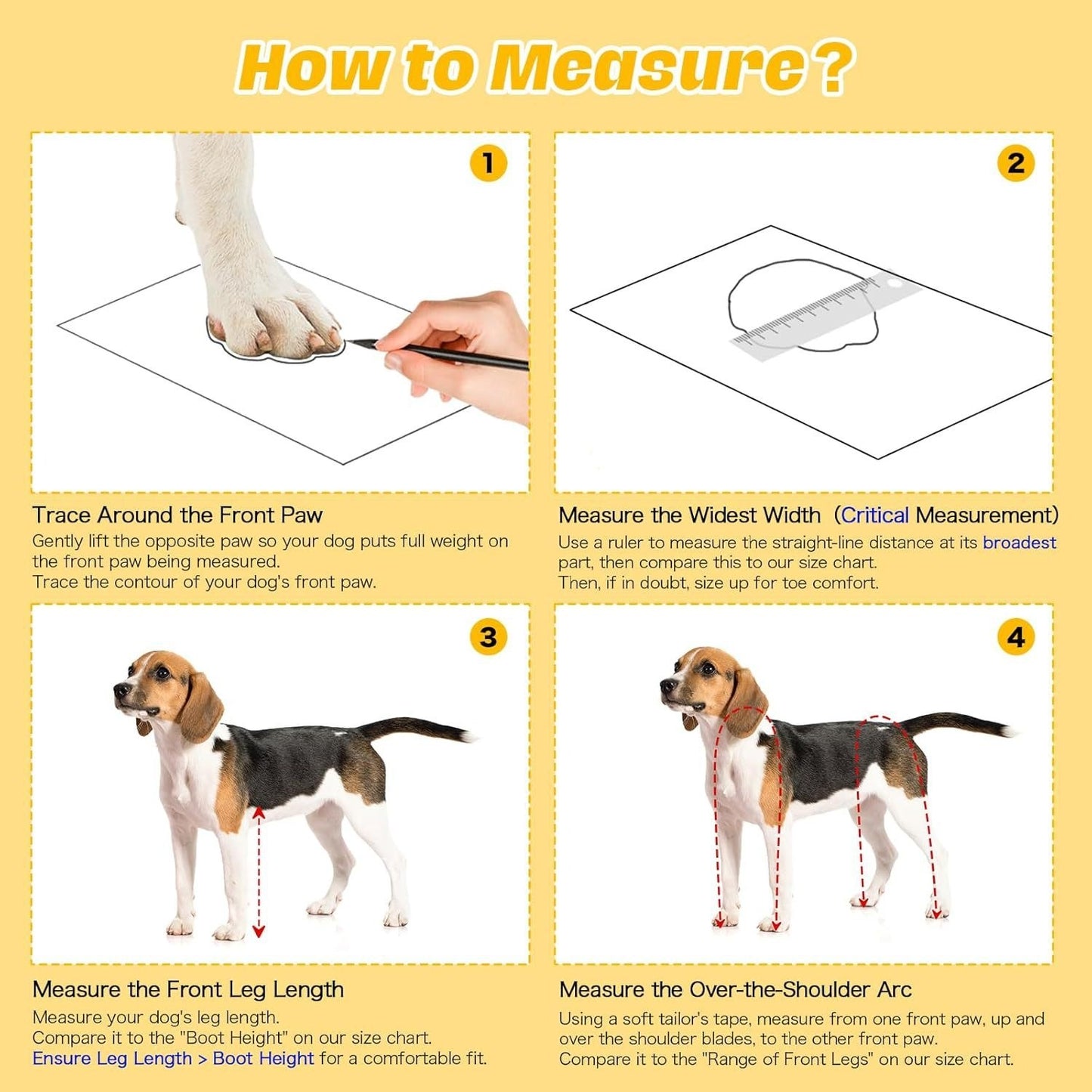 Instructions on how to measure a dog for a product, with text and images of a dog and measurement tools.