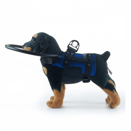Blind Dog Halo Harness for Small to Medium Breeds