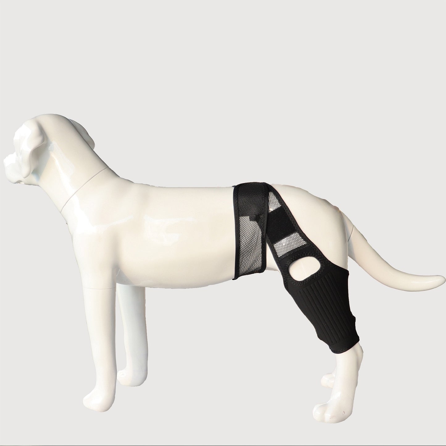 Dog Knee Brace - ACL/CCL Cruciate Ligament Support & Joint Recovery