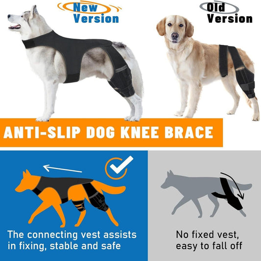 Comparison of new and old versions of an anti-slip dog knee brace with a dog wearing the brace.
