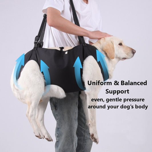 Diagram illustrating uniform force distribution around a dog's body using the PawAble Lift Harness.