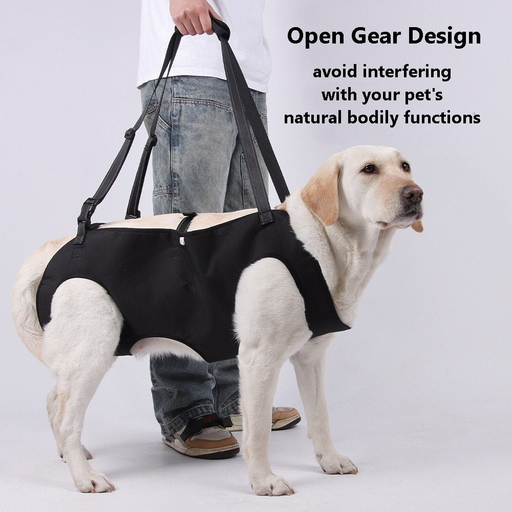 Image highlighting the open gear design of the PawAble Dog Lift Harness, ensuring no crotch strangulation and freedom for natural functions.