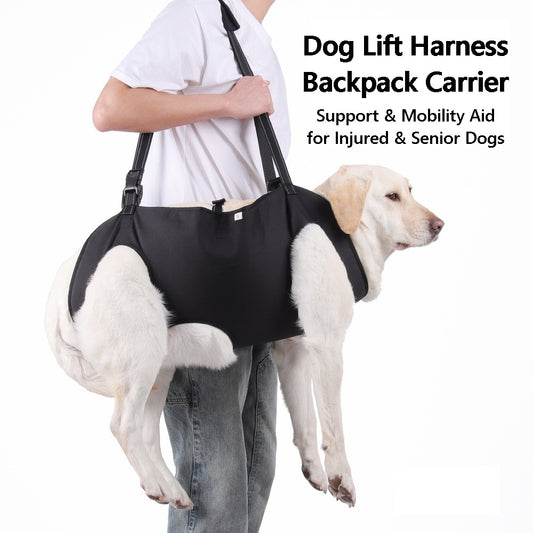 Active dog wearing the PawAble Dog Lift Harness & Backpack Carrier, showcasing its comfortable fit.