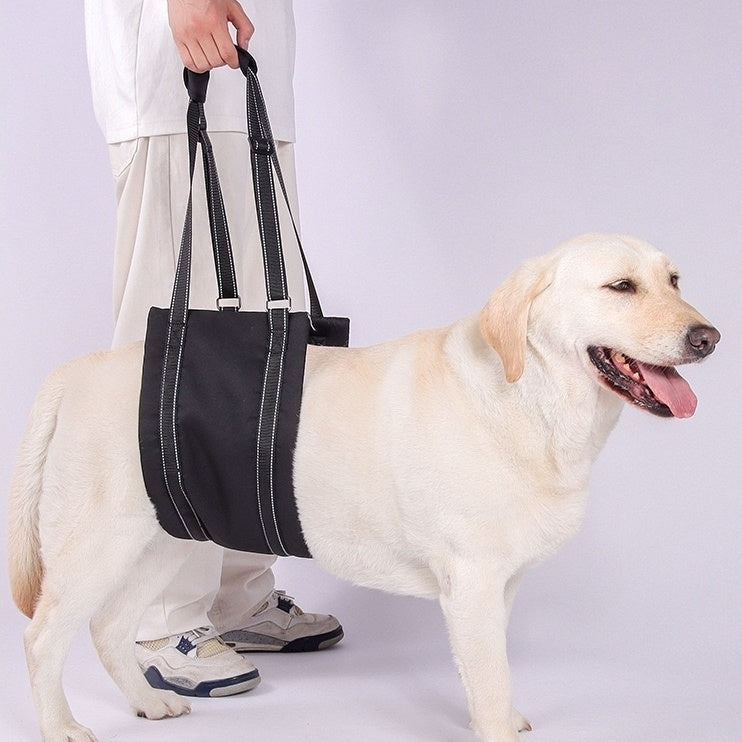 a dog wearing the black Dog Lift Harness Sling for hind legs