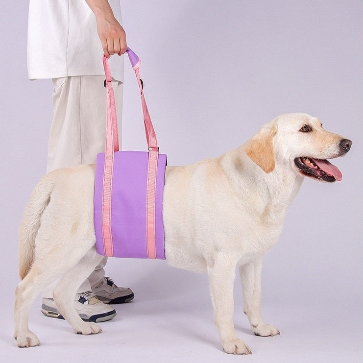 a dog wearing the purple Dog Lift Harness Sling for hind legs