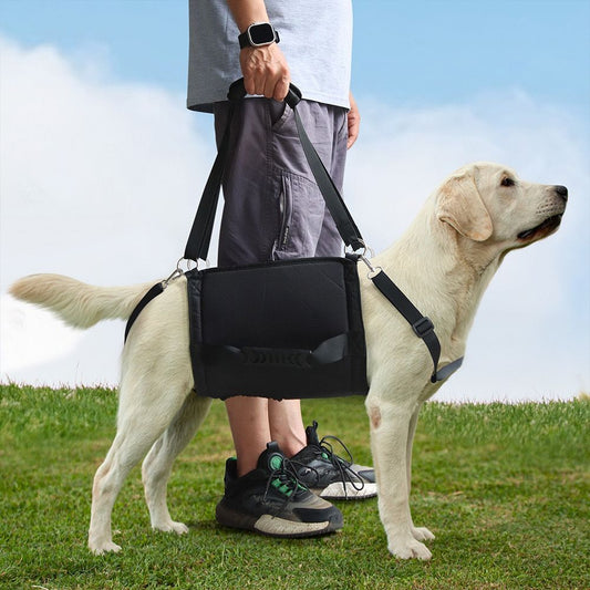 a big dog wearing Dog Lift Rear Support Harness, with the handle hold by the owner