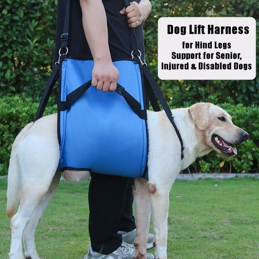 a big dog wearing in the Dog Lift Rear Support Harness comfortably, carried and hold by the owner