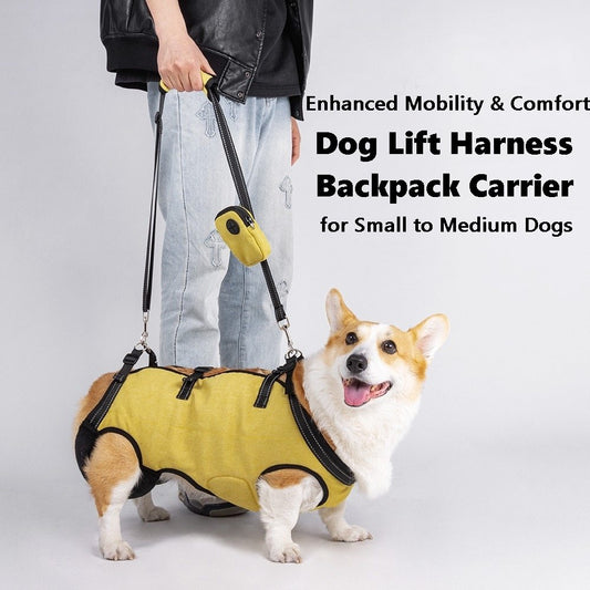 a small dog wearing Dog Lift Harness and Backpack Carrier walking