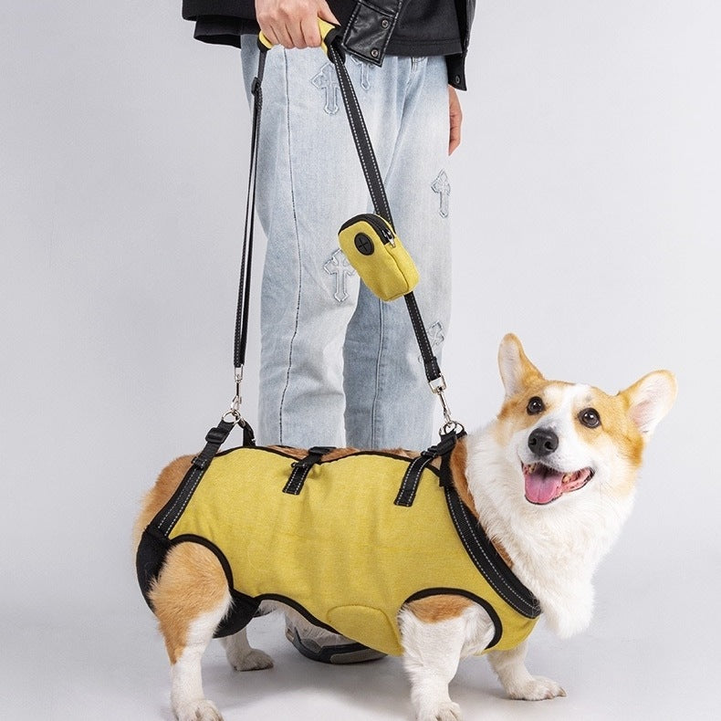 a small dog wearing a yellow Dog Lift Harness and Backpack Carrier