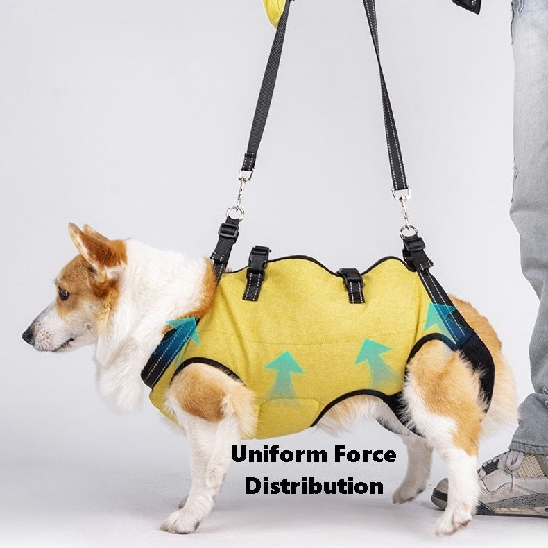 a small dog wearing Dog Lift Harness and Backpack Carrier walking comfortably, showcasing the uniform force distribution of this harness