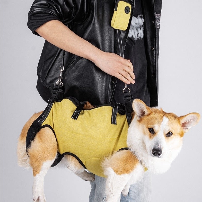 a dog in a yellow Dog Lift Harness and Backpack Carrier, carried on the owner's shoulder