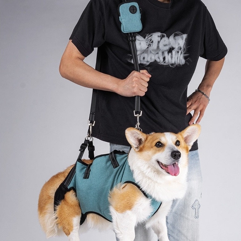 a dog wearing a turquoise Dog Lift Harness and Backpack Carrier, carried by the owner