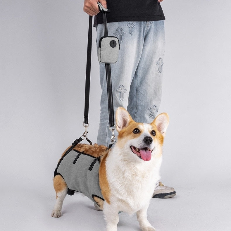 a dog wearing a grey Dog Lift Harness and Backpack Carrier, walking happily