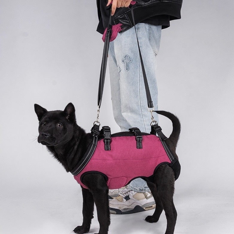 a dog wearing a rose red Dog Lift Harness and Backpack Carrier, standing