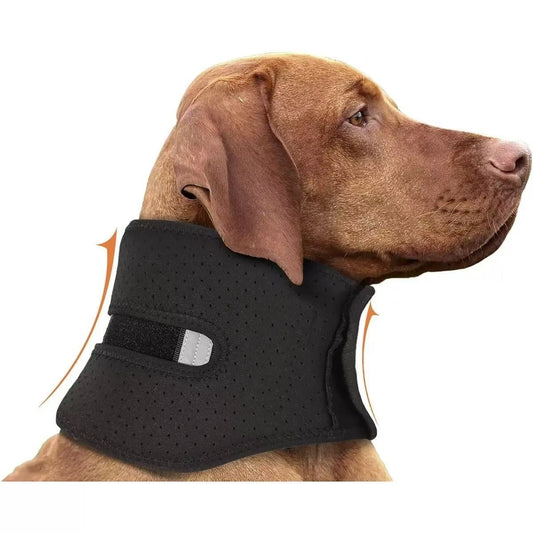 Dog Neck Brace for Cervical Spine Support