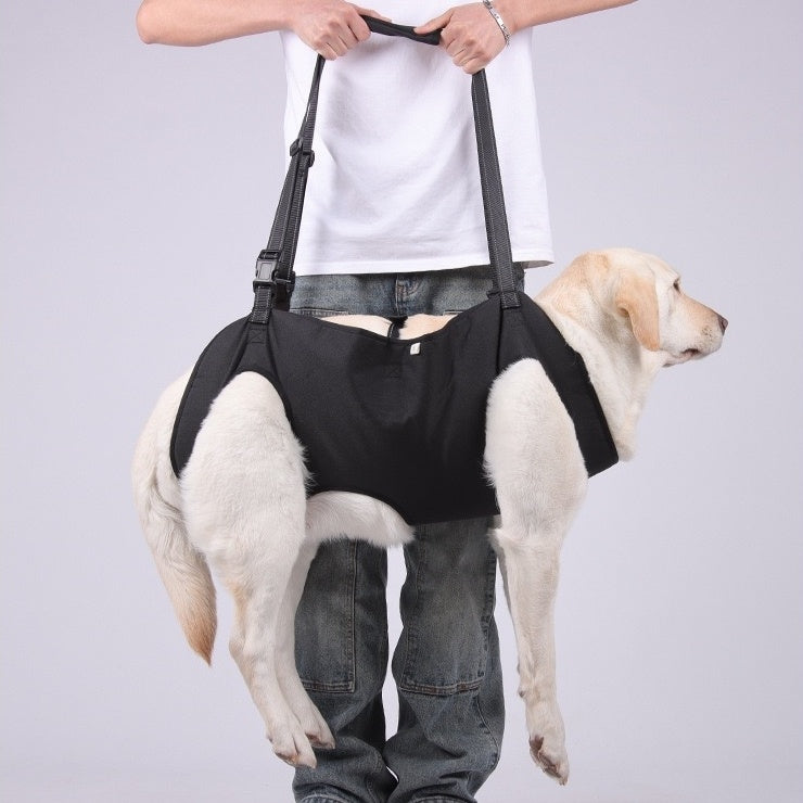 a dog wearing the Dog Lift Harness Backpack Carrier, assist by owner