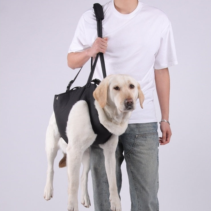 a dog comfortably sitting in the PawAble Dog Backpack Carrier, being carried hands-free