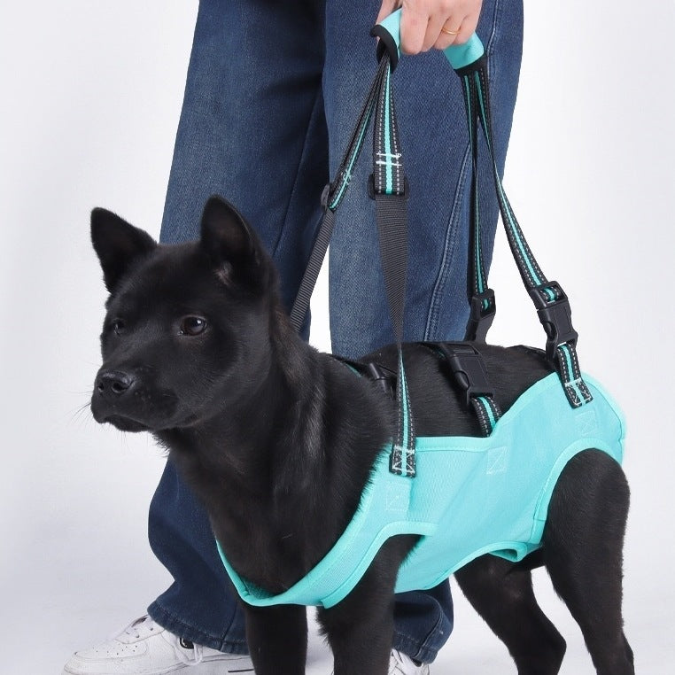 a dog, walking comfortably with assistance from the PawAble Dog Lift Harness, showing uniform body support.