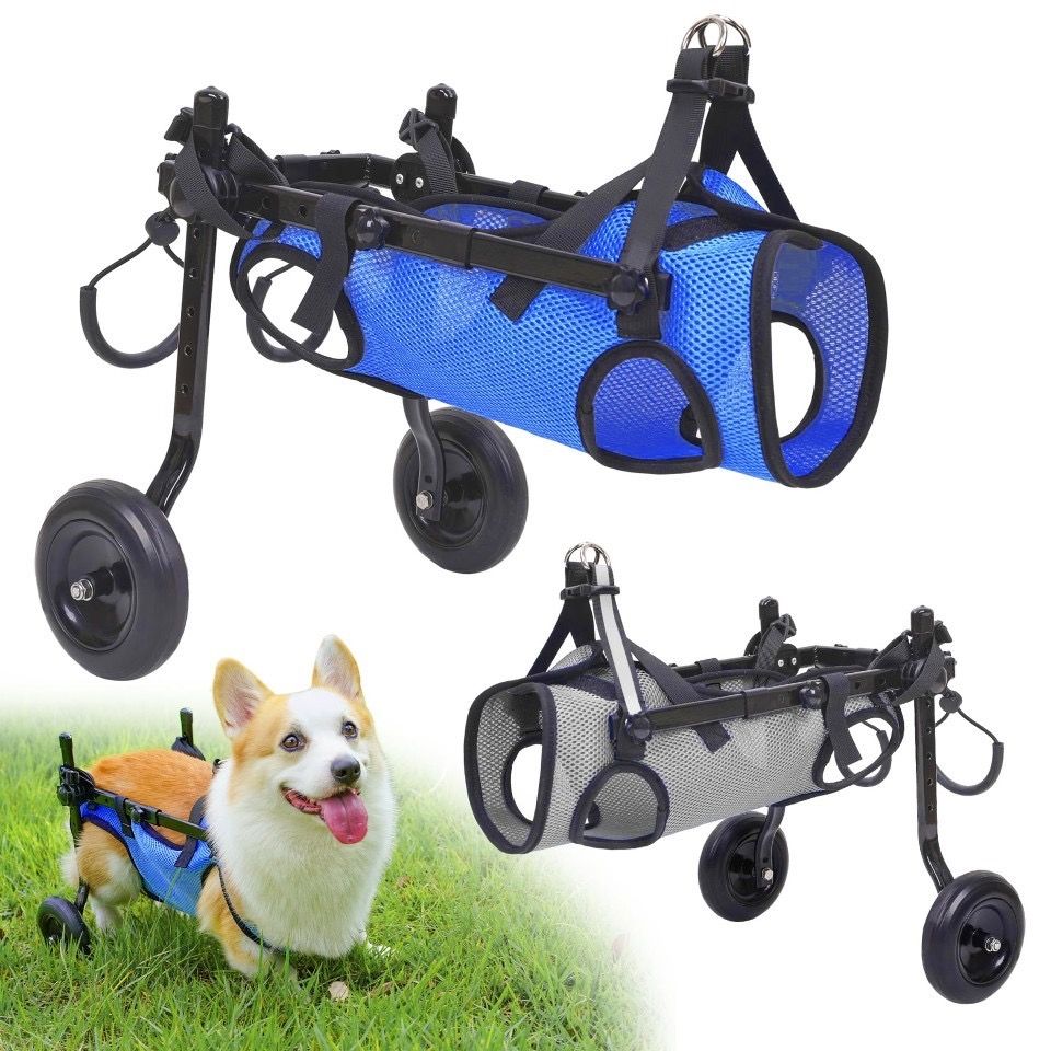 Dog Wheelchair for Back Legs | Small Size