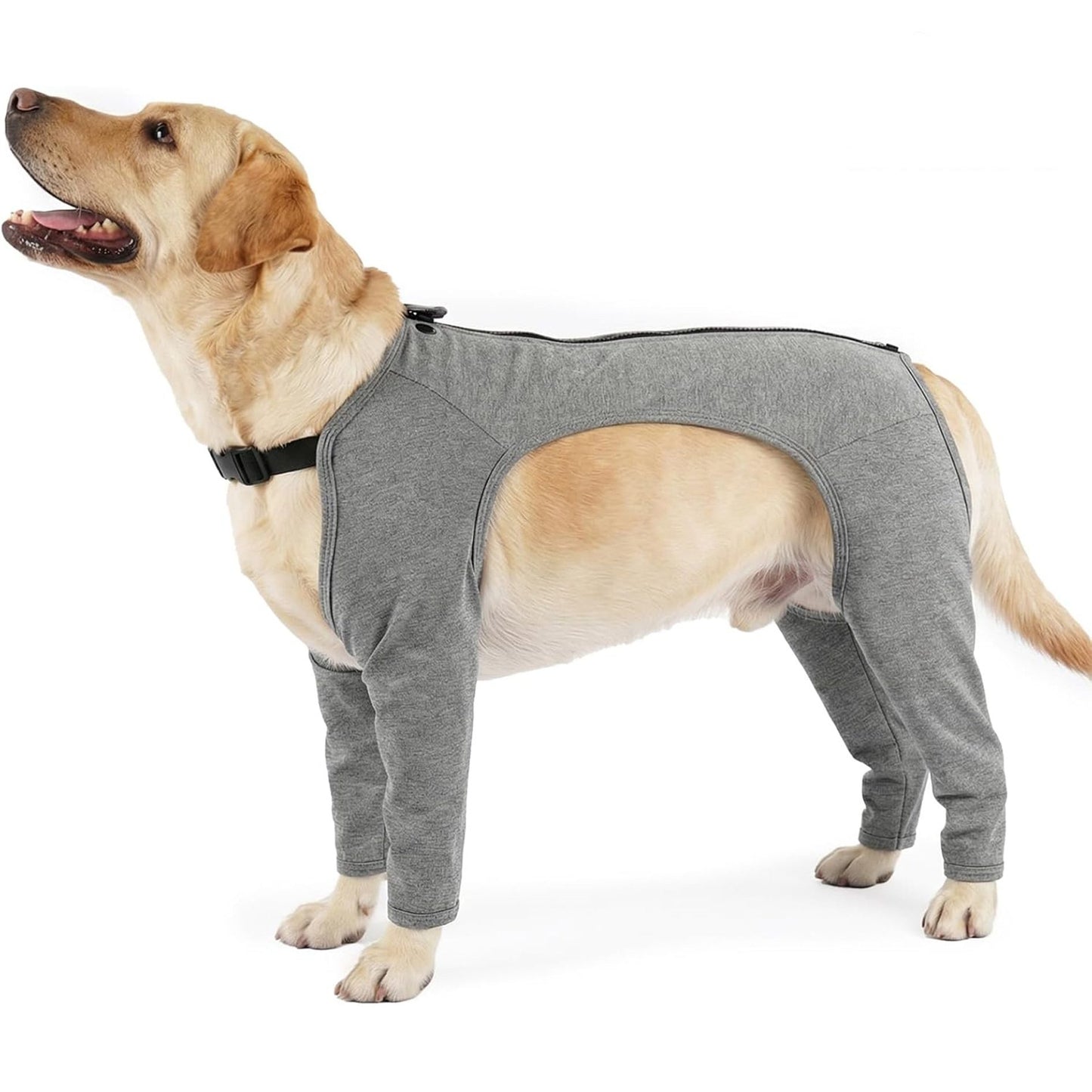 Dog wearing a gray Anti-Lick Four-Leg Sleeves on a white background