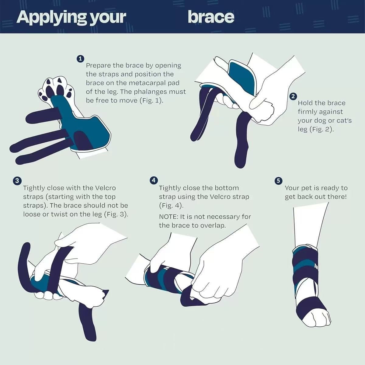 Instructions on how to apply a brace to a pet's leg with step-by-step illustrations.