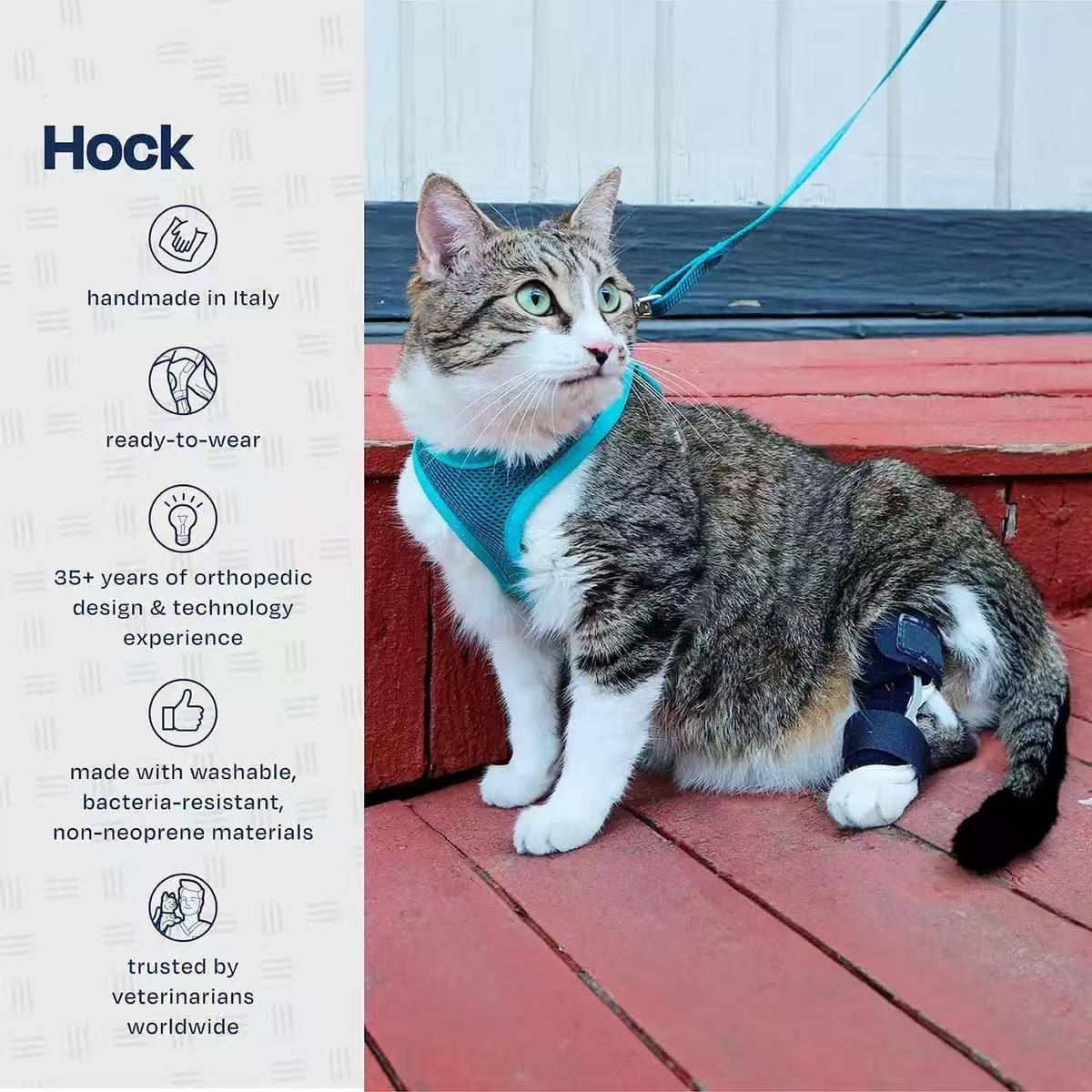Cat wearing a Hock orthopedic support device on a wooden deck