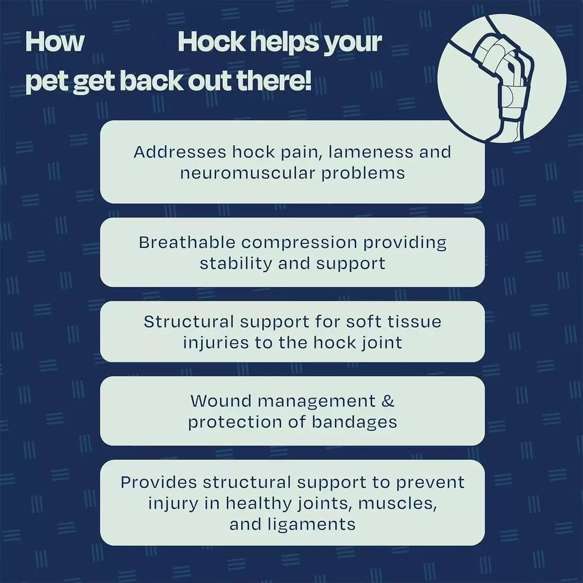 Text detailing how Hock helps pets with hock pain and injuries on a blue background.
