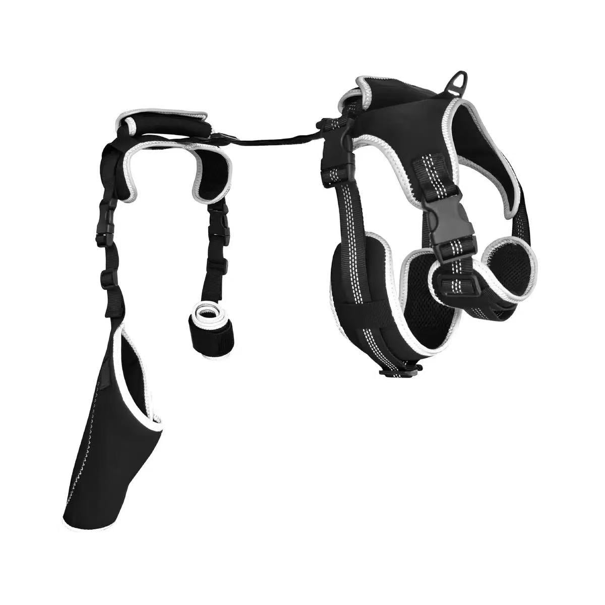 Knee Brace Harness for Dogs – Hind Leg Support with Removable Metal Splints