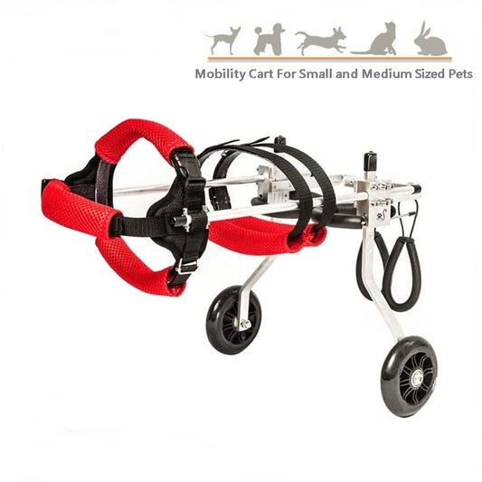 Pet Wheelchair With 2 Wheels