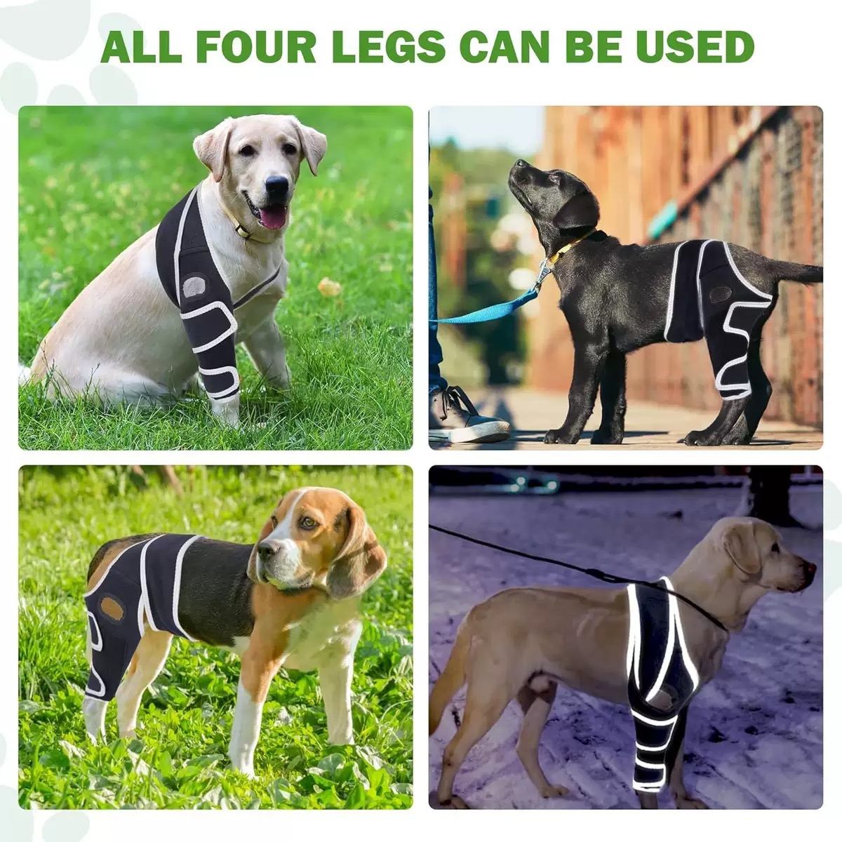 Universal Dog Knee & Elbow Brace