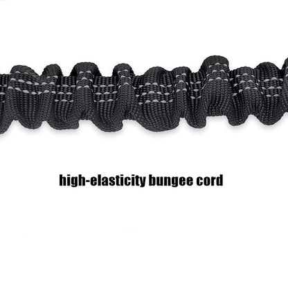 2-in-1 Bungee Dog Leash & Car Seat Belt with Shock Absorption