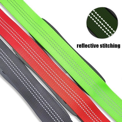 2-in-1 Bungee Dog Leash & Car Seat Belt with Shock Absorption