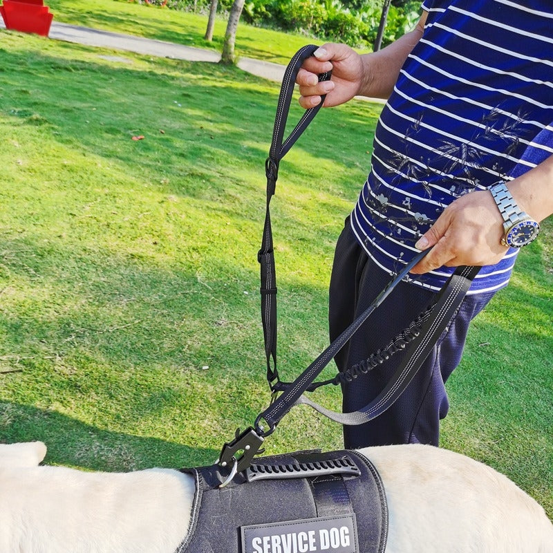 2-in-1 Bungee Dog Leash & Car Seat Belt with Shock Absorption