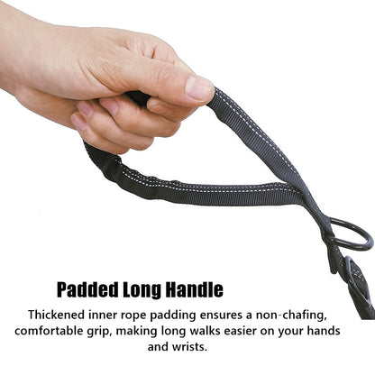2-in-1 Bungee Dog Leash & Car Seat Belt with Shock Absorption