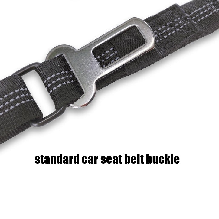 2-in-1 Bungee Dog Leash & Car Seat Belt with Shock Absorption
