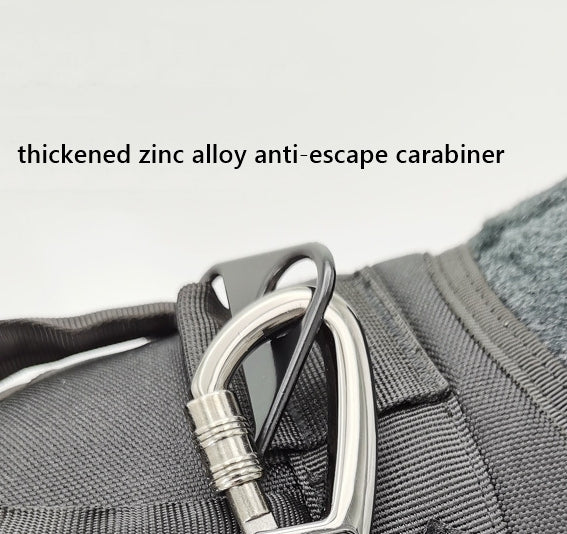 2-in-1 Bungee Dog Leash & Car Seat Belt with Shock Absorption