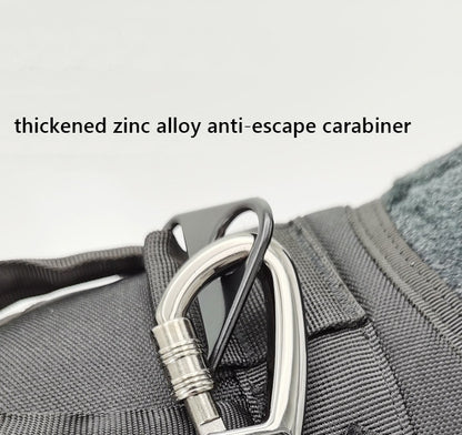 2-in-1 Bungee Dog Leash & Car Seat Belt with Shock Absorption