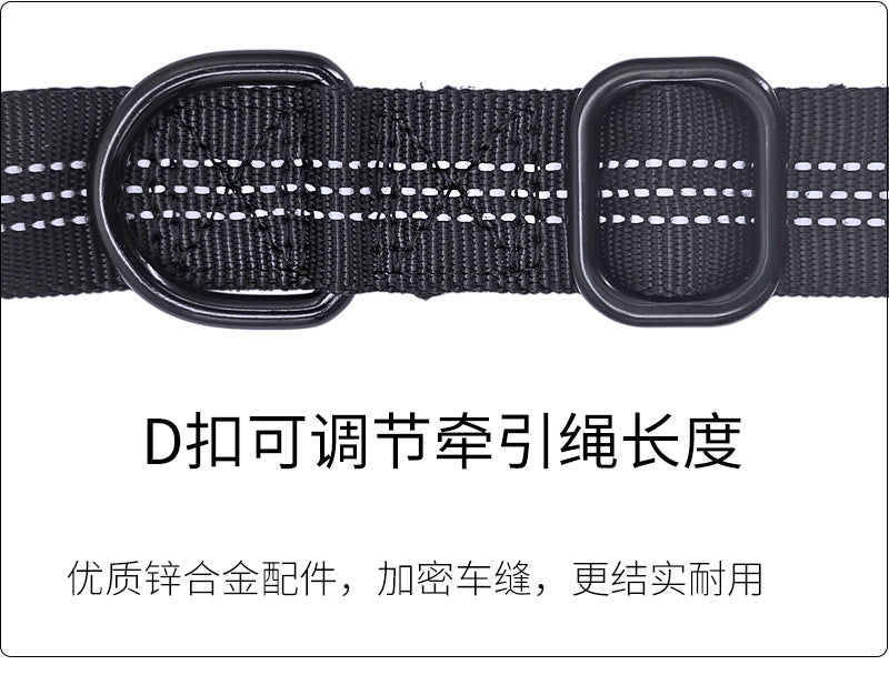 2-in-1 Bungee Dog Leash & Car Seat Belt with Shock Absorption