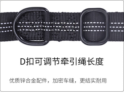 2-in-1 Bungee Dog Leash & Car Seat Belt with Shock Absorption