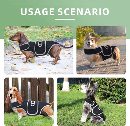 Adjustable IVDD Spinal Support Brace for Dogs