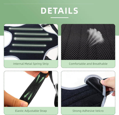 details of Adjustable IVDD Spinal Support Brace for Dogs
