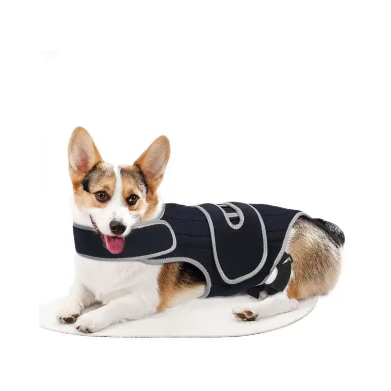 Adjustable IVDD Spinal Support Brace for Dogs