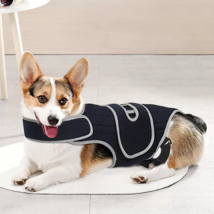 The dog is lying down wearing Adjustable IVDD Spinal Support Brace