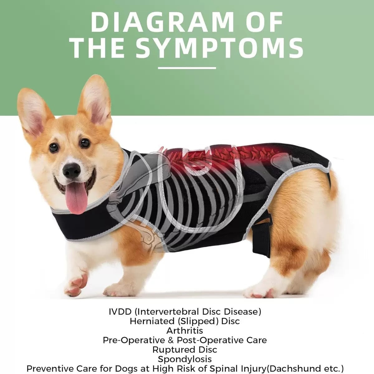 The symptoms for which this dog spinal support brace is suitable.