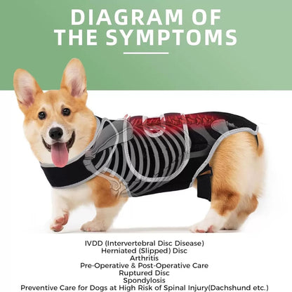 The symptoms for which this dog spinal support brace is suitable.